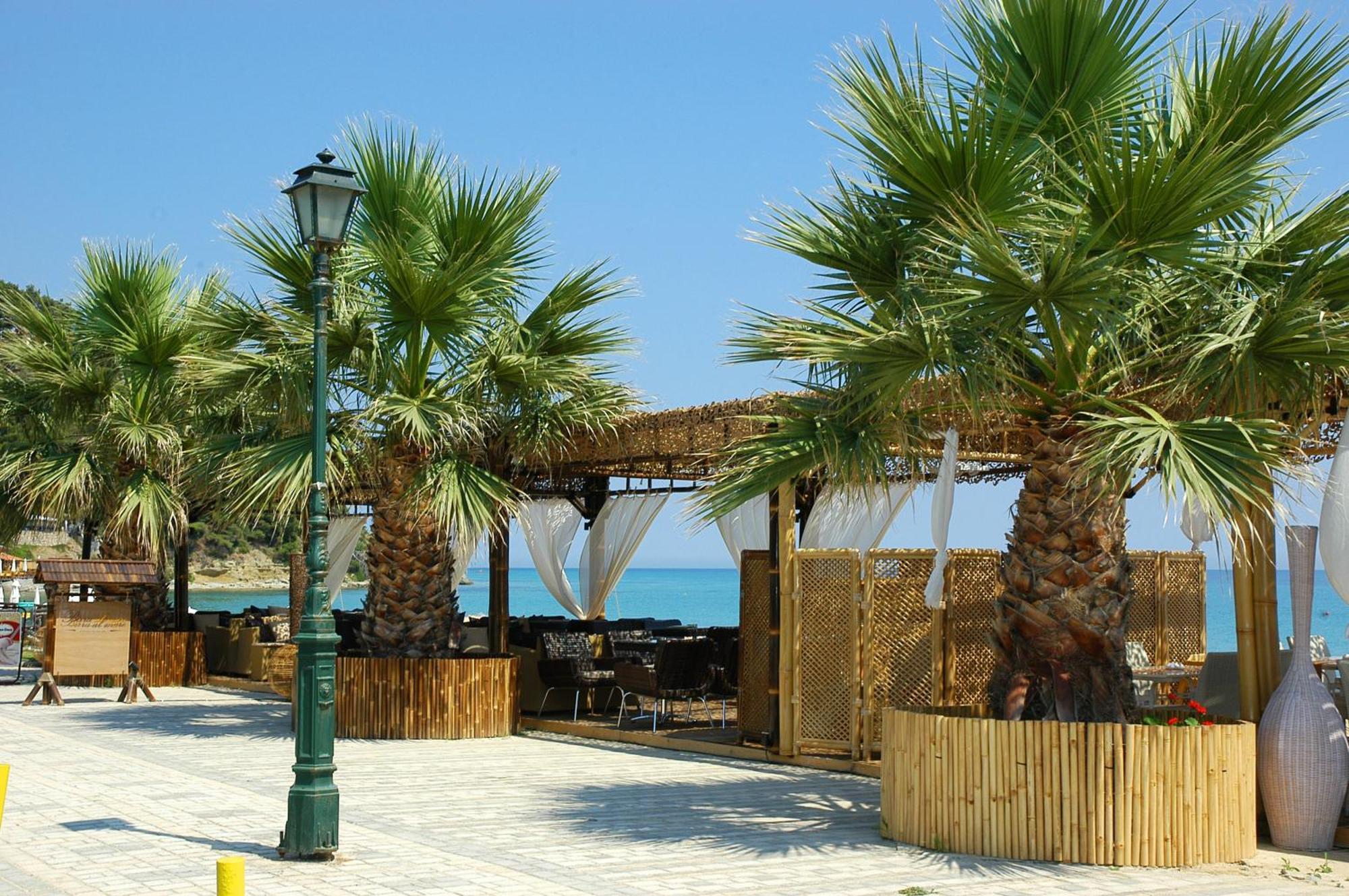 Xenios Possidi Paradise Hotel Exteriör bild